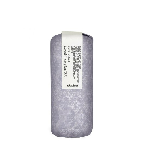 Hot Styling Primer Davines Blow Dry Primer 250 Ml