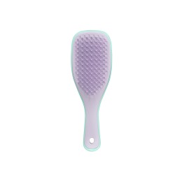 Tangle Teezer Wet Detangling Mini Baby Wisteria Leaf